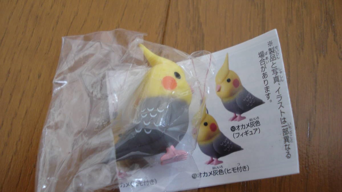 Amazon.co.jp: ◇ちょこんとインコ「オカメ灰色（フィギュア